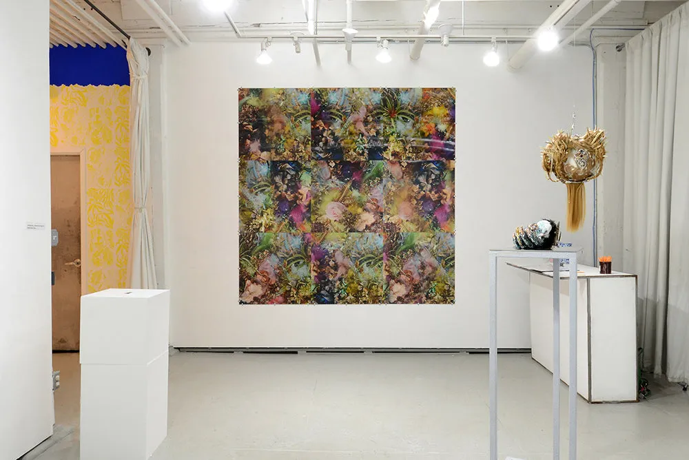 Kat Ryals, "Paradise Wall"