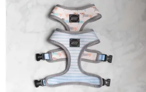 "Dapper Dog" Reversible Harness