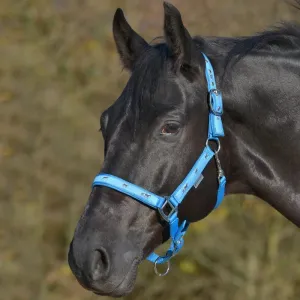 Waldhausen Halter